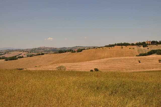 min 2009 08 18 ostra 118